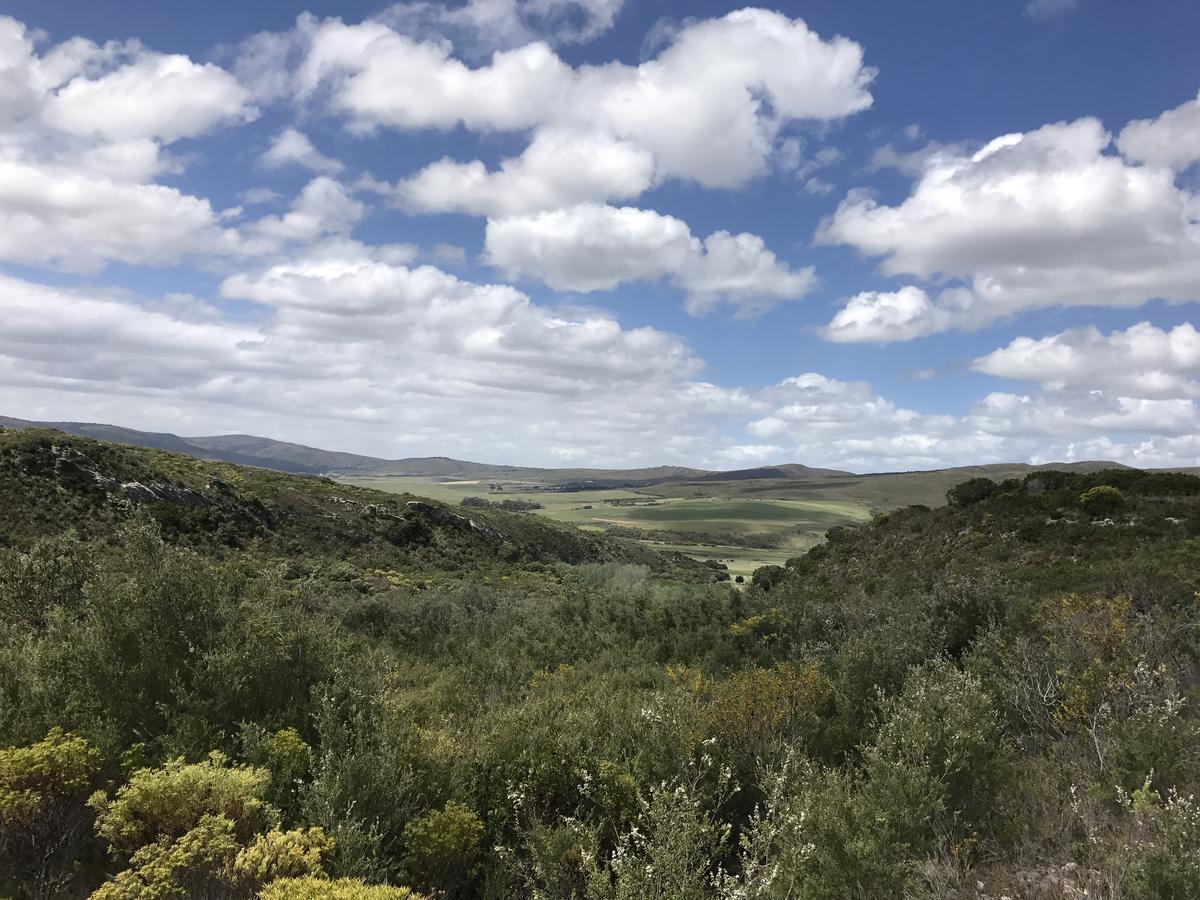Goedvertrou Guest Farm Papiesvlei Dış mekan fotoğraf