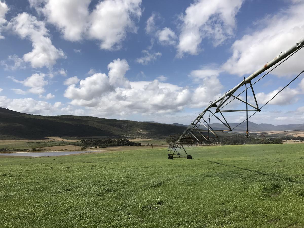 Goedvertrou Guest Farm Papiesvlei Dış mekan fotoğraf