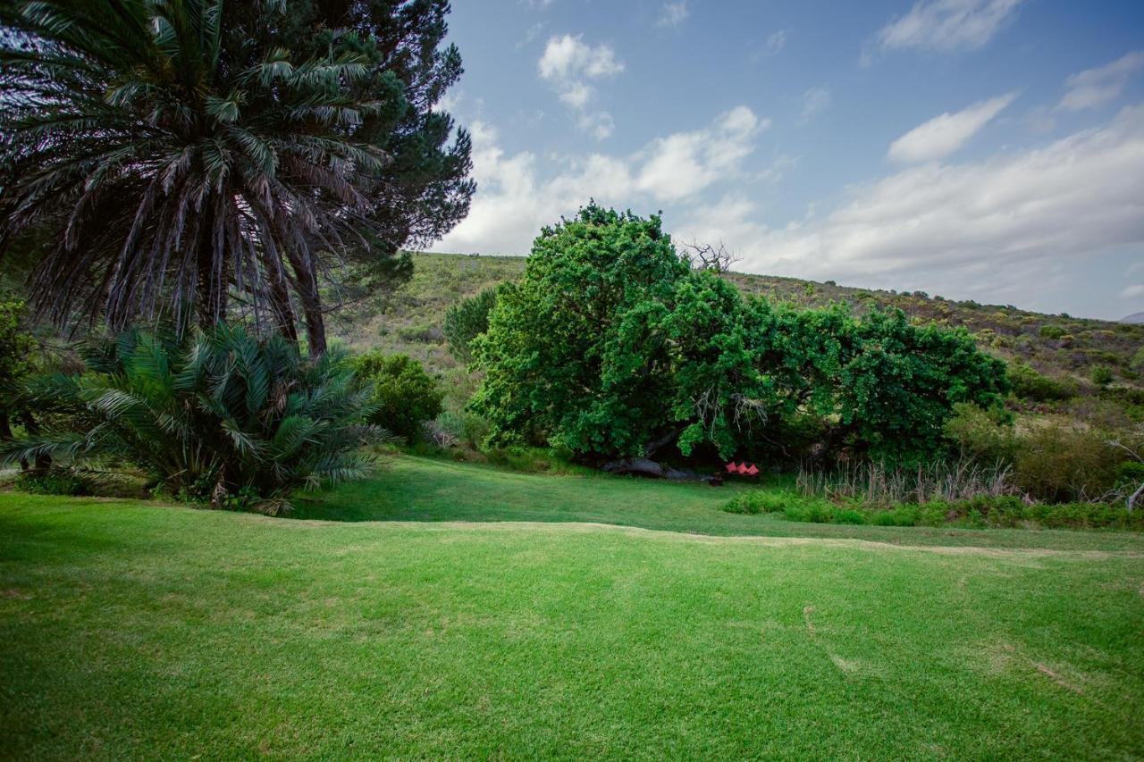Goedvertrou Guest Farm Papiesvlei Dış mekan fotoğraf