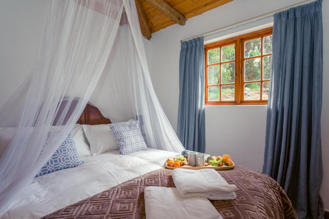 Goedvertrou Guest Farm Papiesvlei Dış mekan fotoğraf