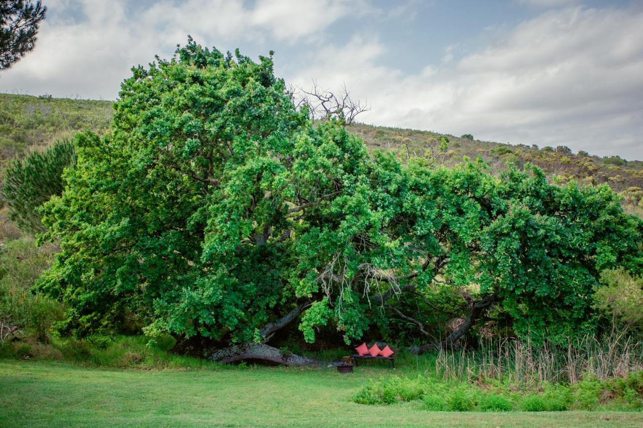 Goedvertrou Guest Farm Papiesvlei Dış mekan fotoğraf